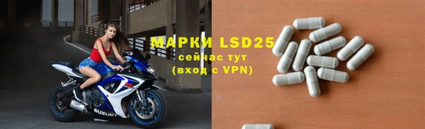 ГАЛЛЮЦИНОГЕННЫЕ ГРИБЫ Белоозёрский