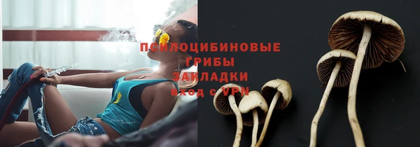 ГАЛЛЮЦИНОГЕННЫЕ ГРИБЫ Белоозёрский