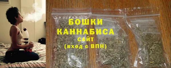 трава Белокуриха