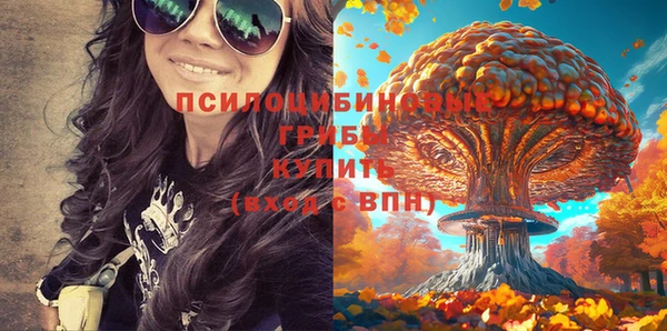 ГАЛЛЮЦИНОГЕННЫЕ ГРИБЫ Белоозёрский